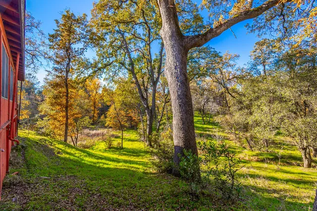 a view of swimming pool from a yard