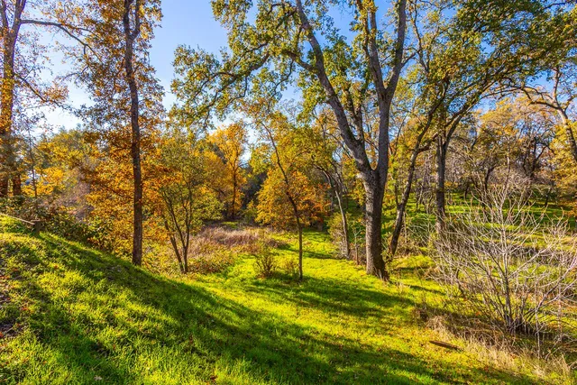 a view of yard with swimming pool