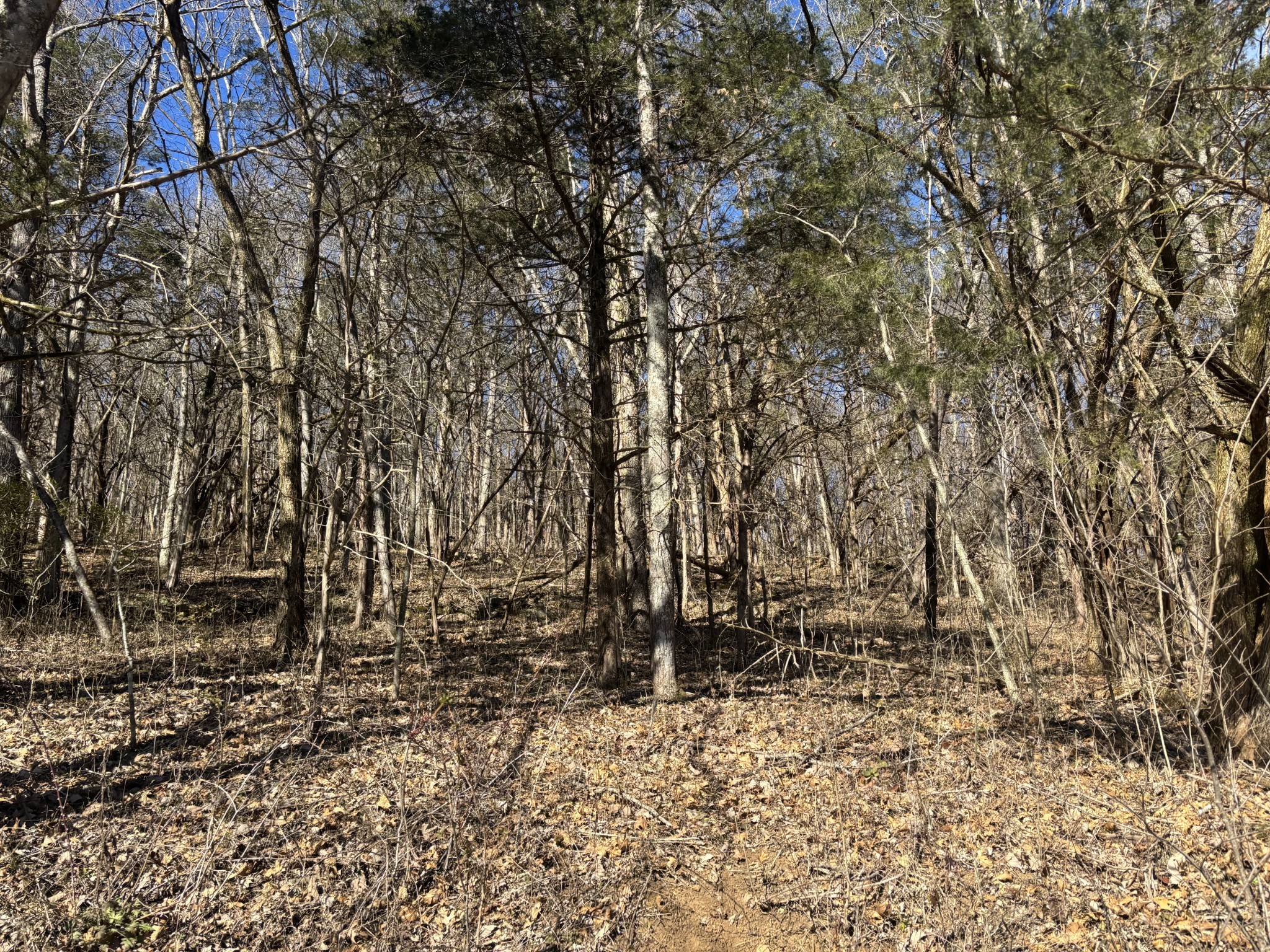 0 Dyer Branch Road Carthage, TN 37030 - Photo 32 of 33