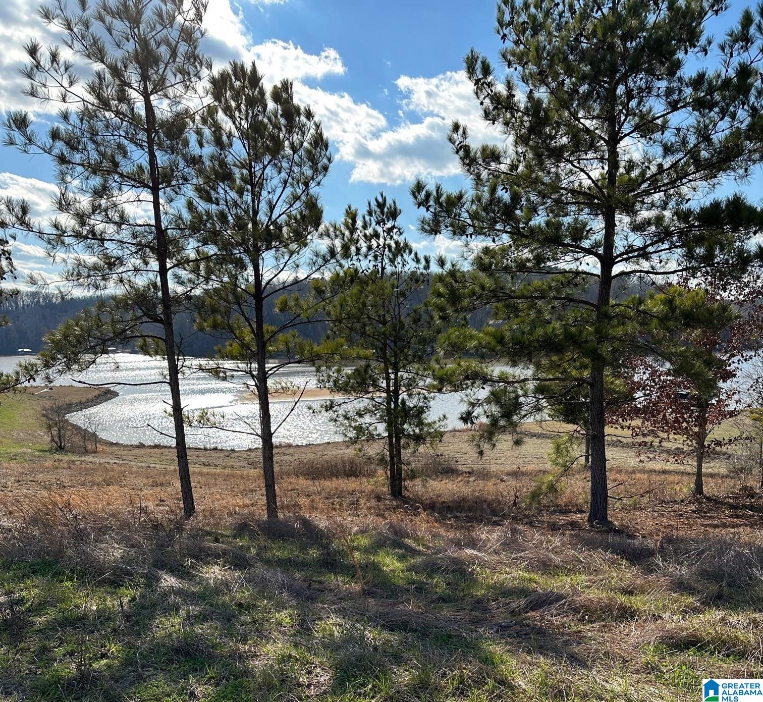 South Pointe Drive, Unit 309 Anniston, AL 36201 - Photo 2 of 6