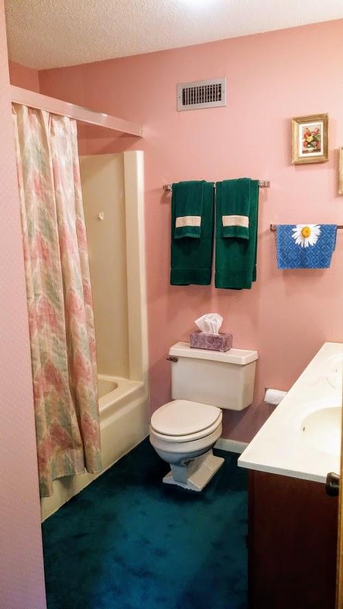 5321 Pawnee Road Crossville, TN 38572 - Photo 30 of 31 guest bath
