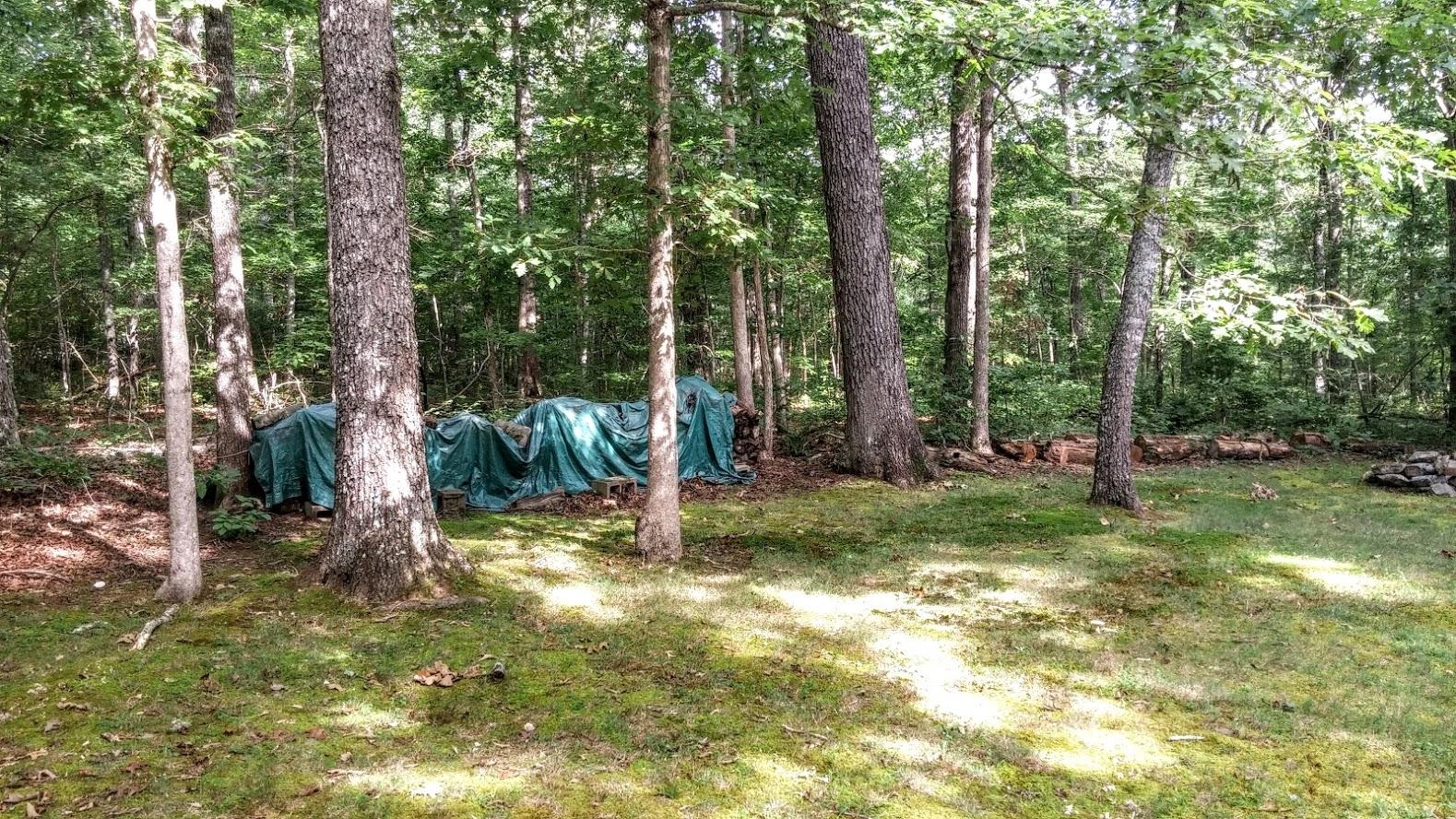 5321 Pawnee Road Crossville, TN 38572 - Photo 8 of 31 0728180919b