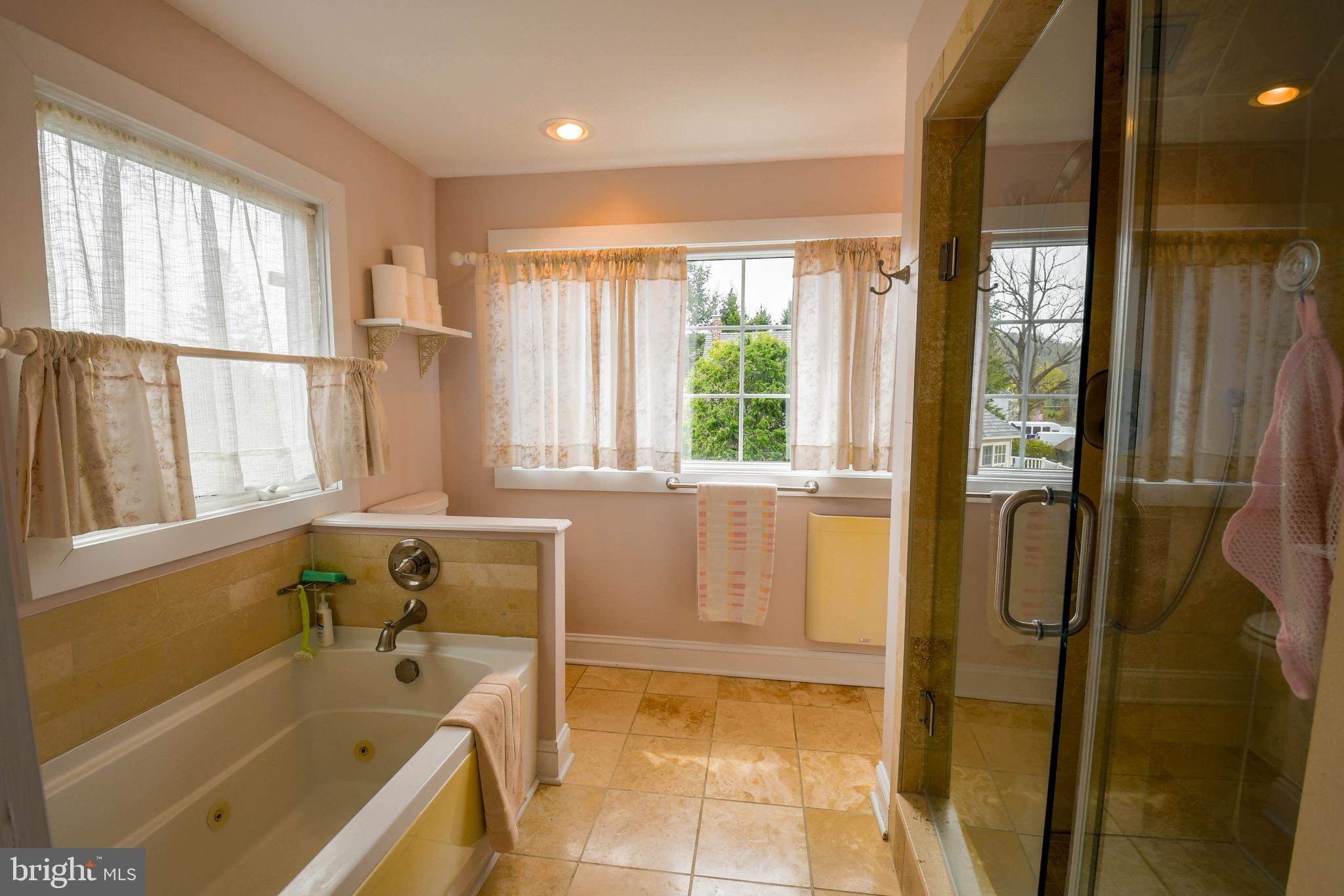 52 River Road Pipersville, PA 18947 - Photo 20 of 31 Primary Bath
