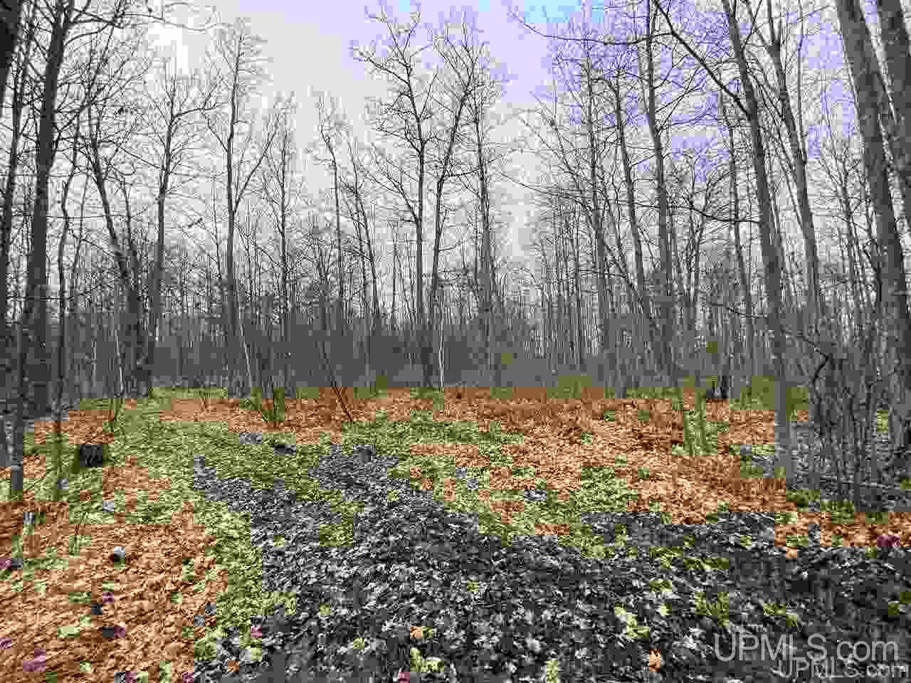 Tbd Plains Cutoff Road Baraga, MI 49908 - Photo 16 of 49