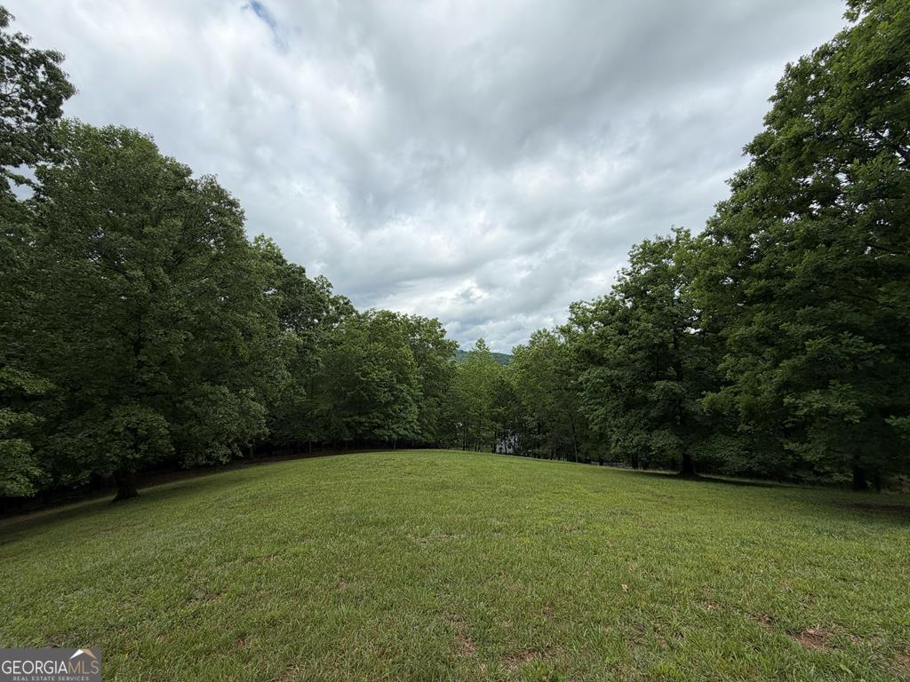 0 Drake Ridge Lane Hayesville, NC 28904 - Photo 1 of 6 a view of a field with a trees in the background