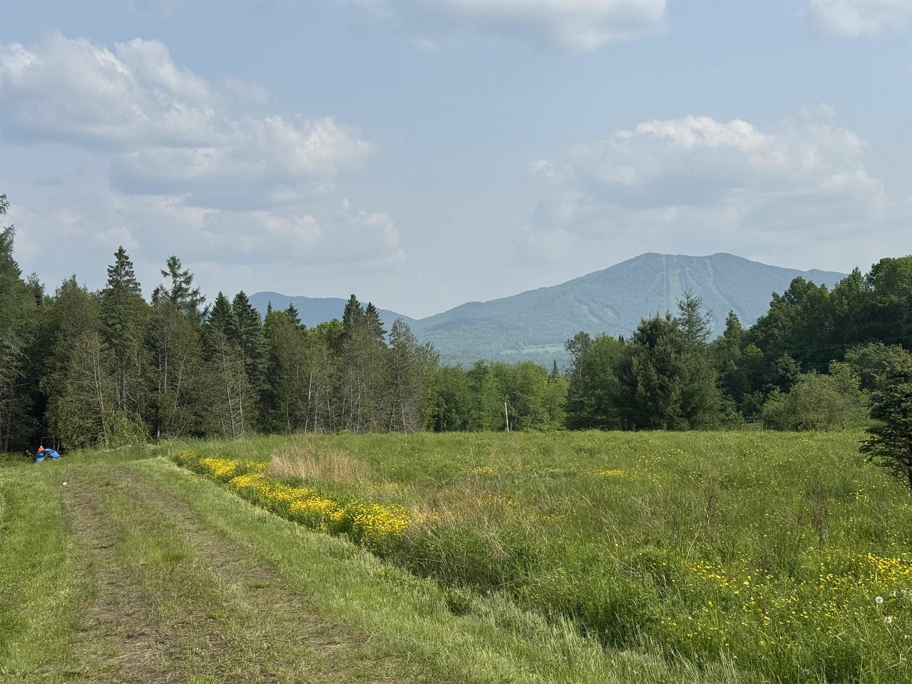 1130 Burke Green Road, Unit 3 Burke, VT 05832 - Photo 3 of 4 Gallery Image 3
