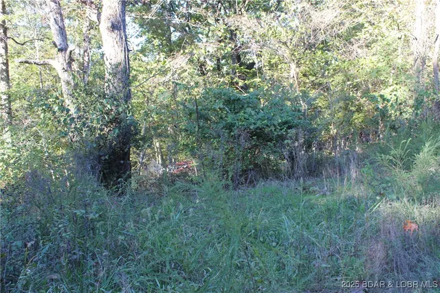 $9,600 | Dogwood Drive, Stover, MO 65078