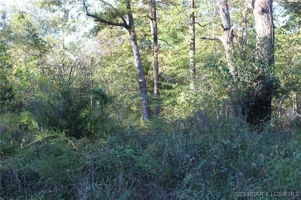 $9,600 | Dogwood Drive, Stover, MO 65078