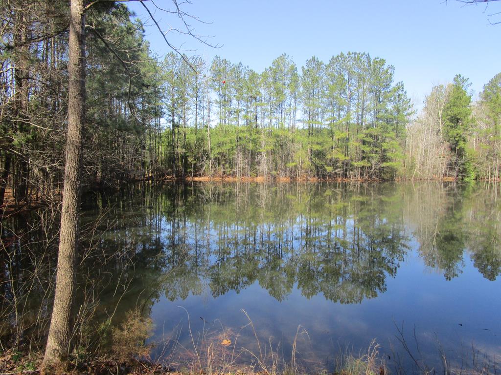 619 Shining Creek Road Alberta, VA 23821 - Photo 10 of 14 Gallery Image 10