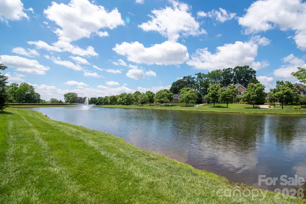 a view of a backyard with a garden and trees
