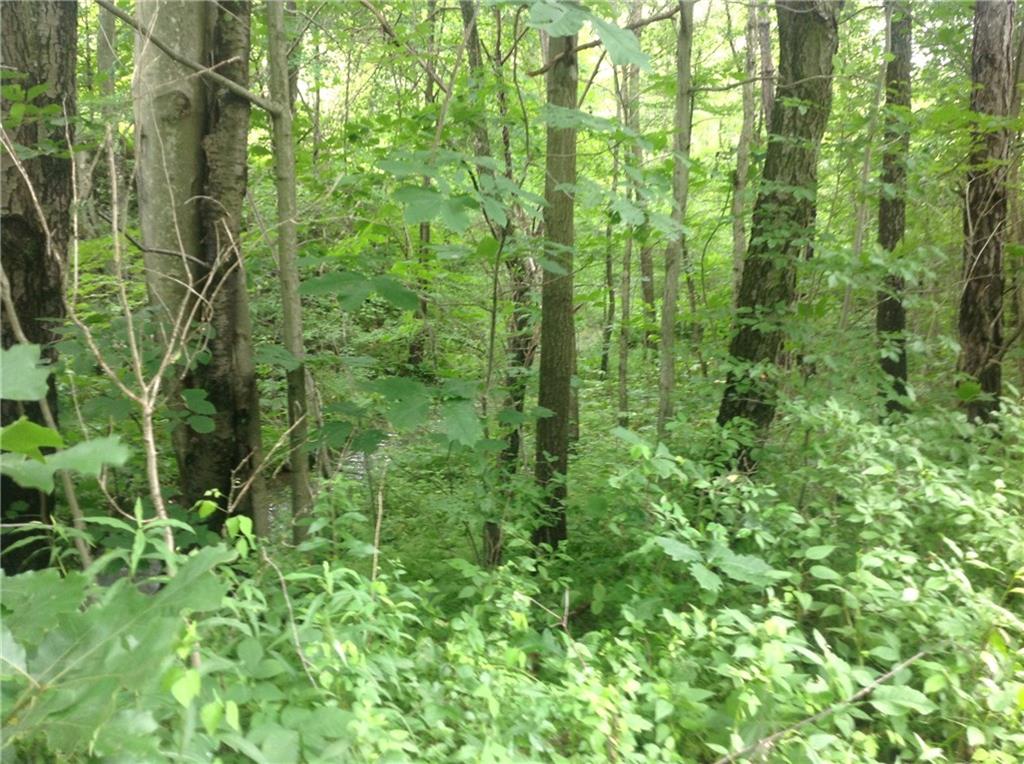 2555 Vanderbilt Street Commodore, PA 15729 - Photo 1 of 6 40 Acres mostly wooded, Two Lick Creek