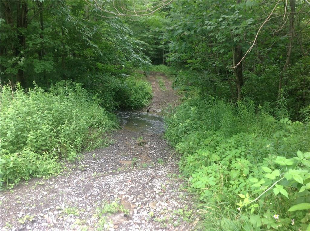 2555 Vanderbilt Street Commodore, PA 15729 - Photo 6 of 6 Road off of Vanderbilt St. near the end of the parcel.