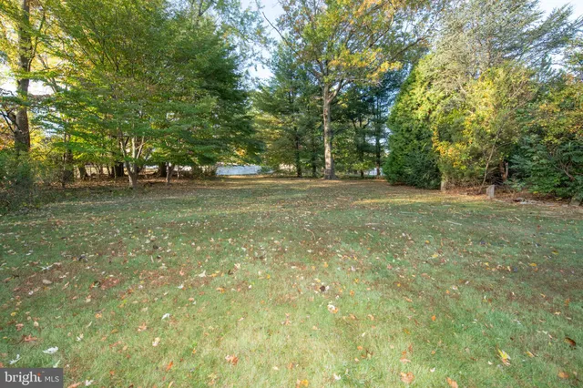 a view of a field with trees in the background