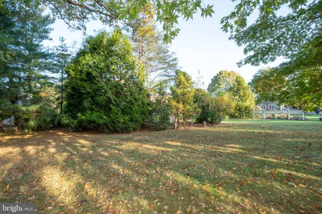 a view of a field with trees in the background