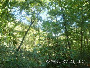 0 Hidden Cove Road, Unit F Maggie Valley, NC 28751 - Photo 3 of 6 Gallery Image 3