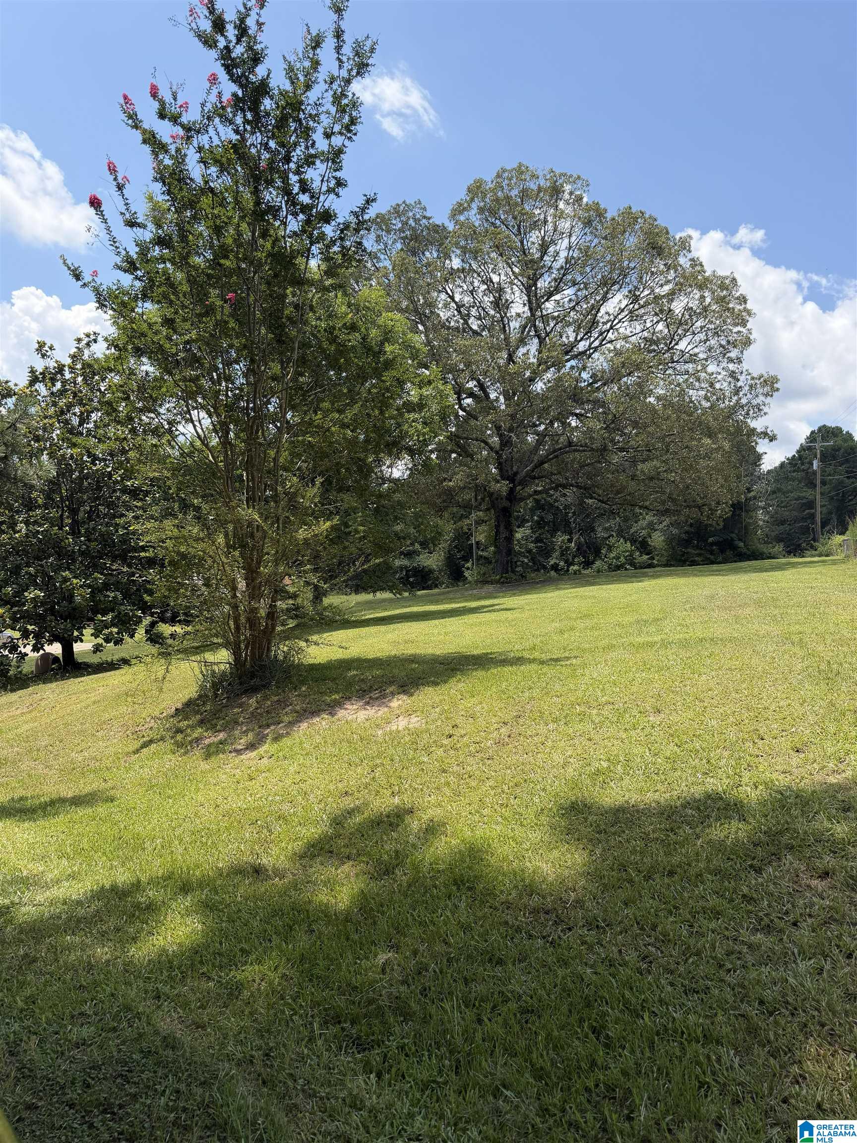 12055 George Newell Road Vance, AL 35490 - Photo 4 of 5