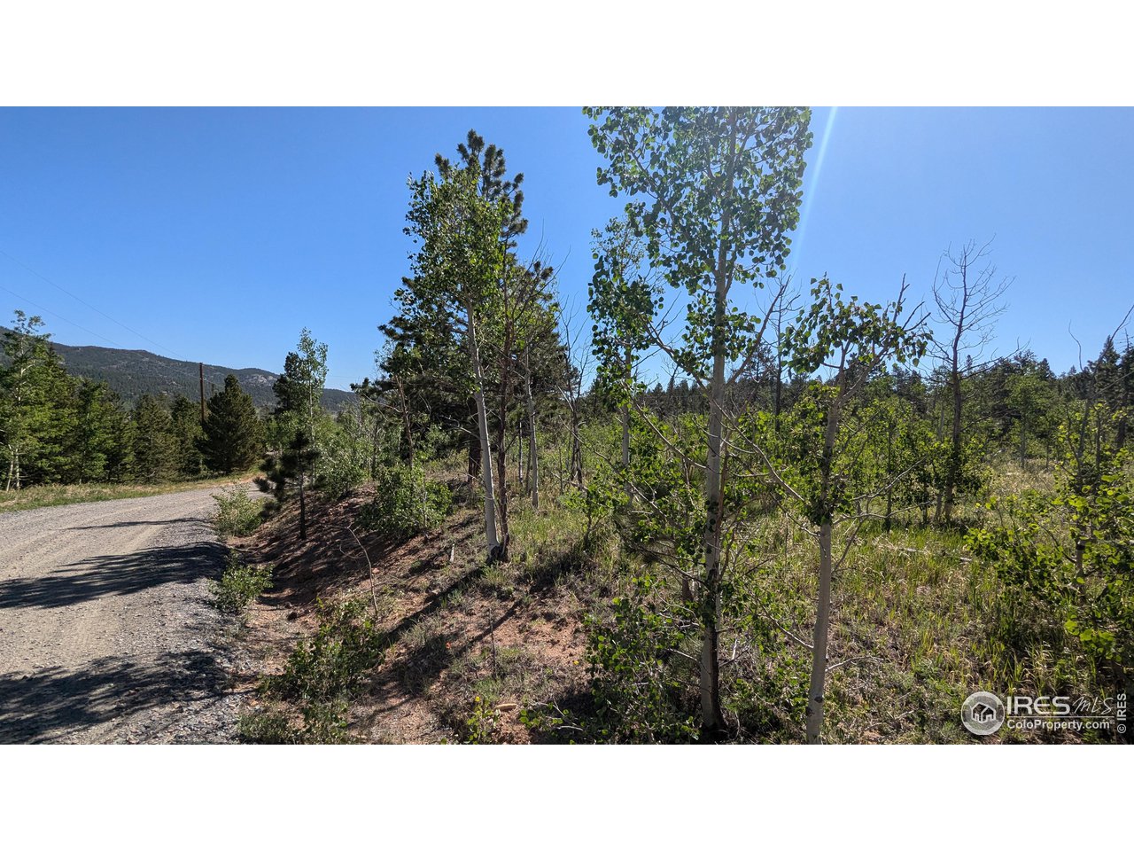 264 Huron Road Red Feather Lakes, CO 80545 - Photo 3 of 16 Gallery Image 3