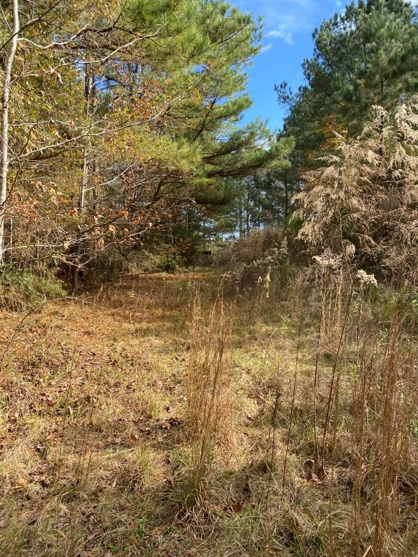 0 Stonewall Road Pinola, MS 39149 - Photo 8 of 14 Photo 8
