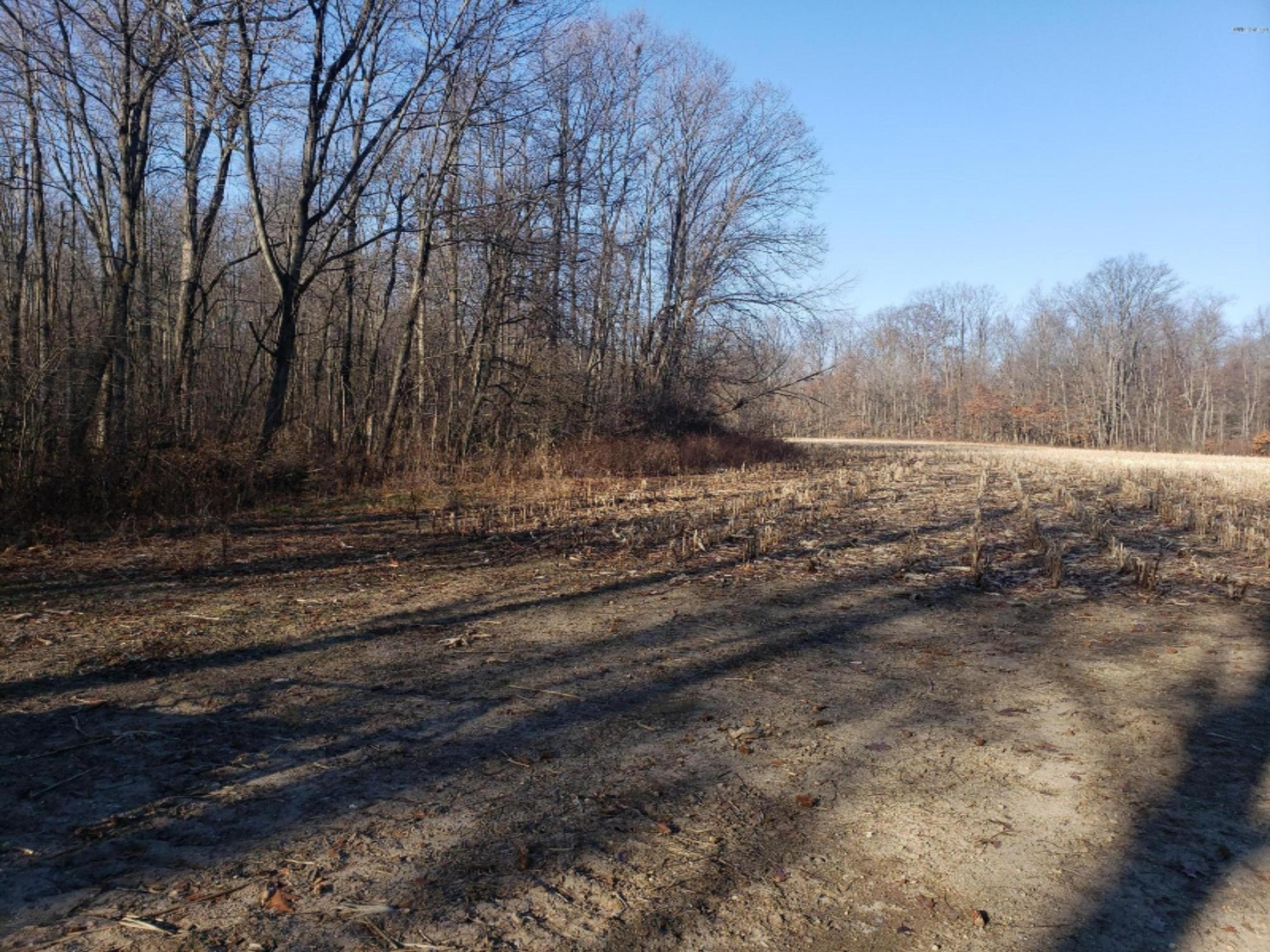 990 24 Mile Road Homer, MI 49245 - Photo 17 of 49 20191217_104918