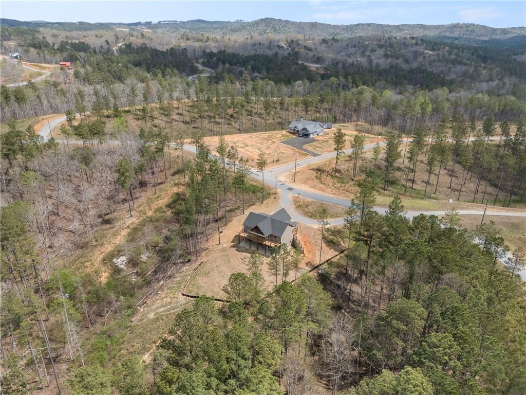 2956 Blalock Mountain Road Talking Rock, GA 30175 - Photo 50 of 65