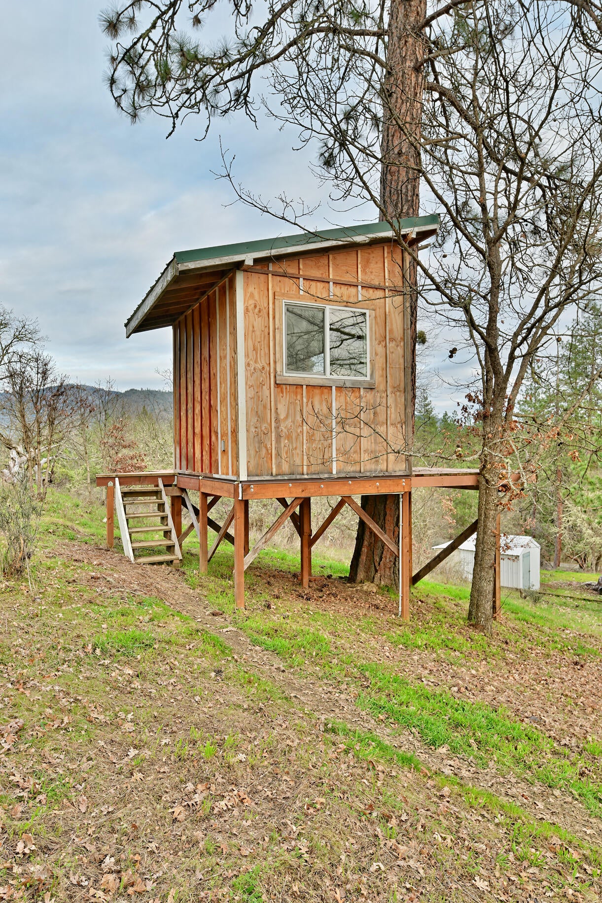 800 Messinger Road Williams, OR 97544 - Photo 38 of 51 38
