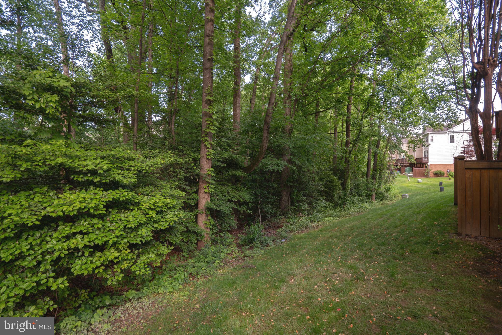 1235 Wild Hawthorn Way Reston, VA 20194 - Photo 60 of 64 Gallery Image 60