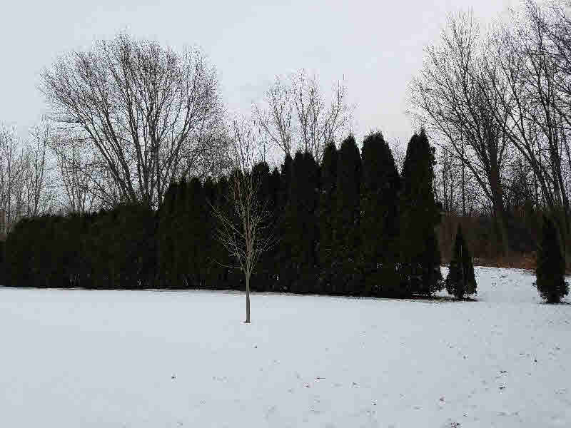1552 East Anderson Road Linwood, MI 48634 - Photo 28 of 31