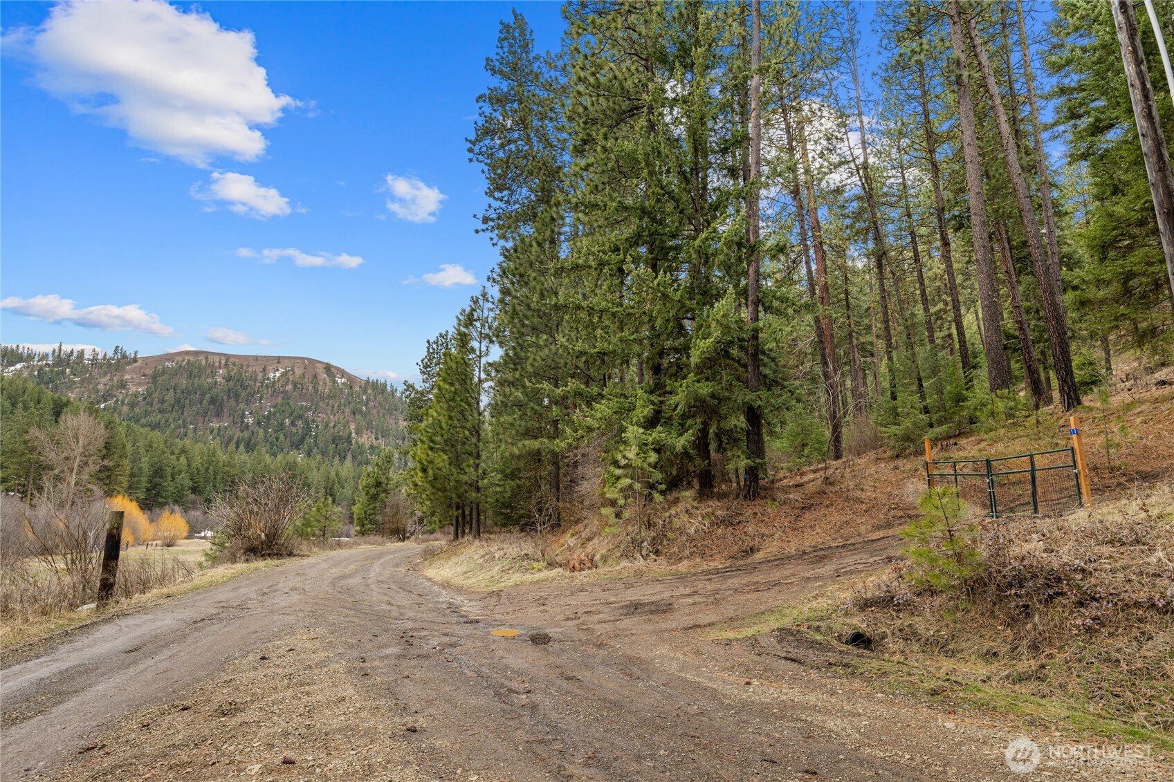 11 Cougar Gulch Road Cle Elum, WA 98922 - Photo 11 of 31 Gallery Image 11