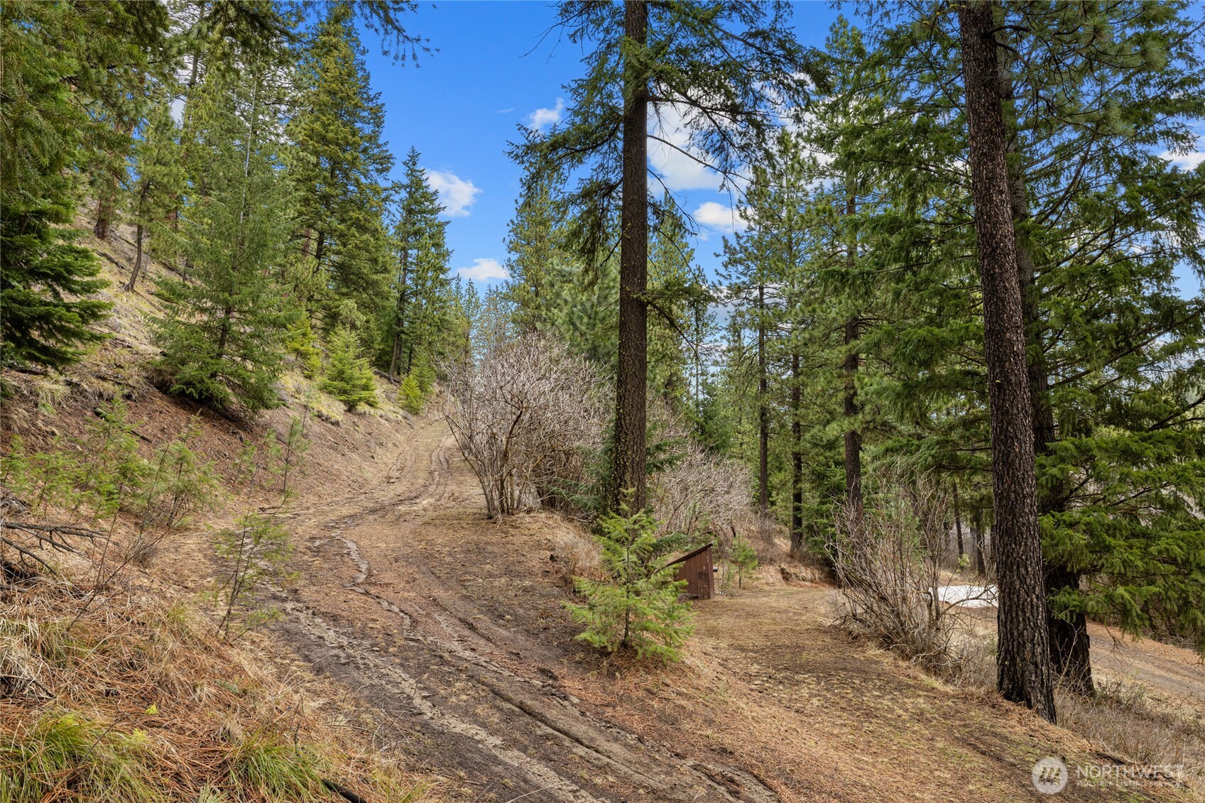 11 Cougar Gulch Road Cle Elum, WA 98922 - Photo 13 of 31 Gallery Image 13