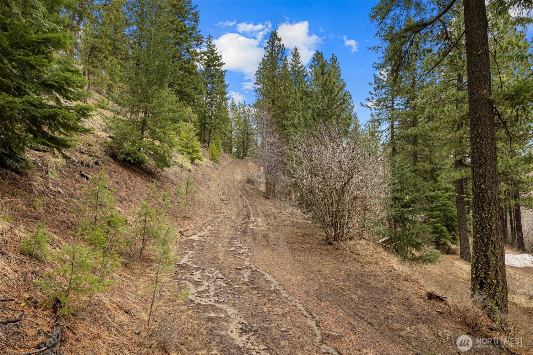 11 Cougar Gulch Road Cle Elum, WA 98922 - Photo 15 of 31 Gallery Image 15