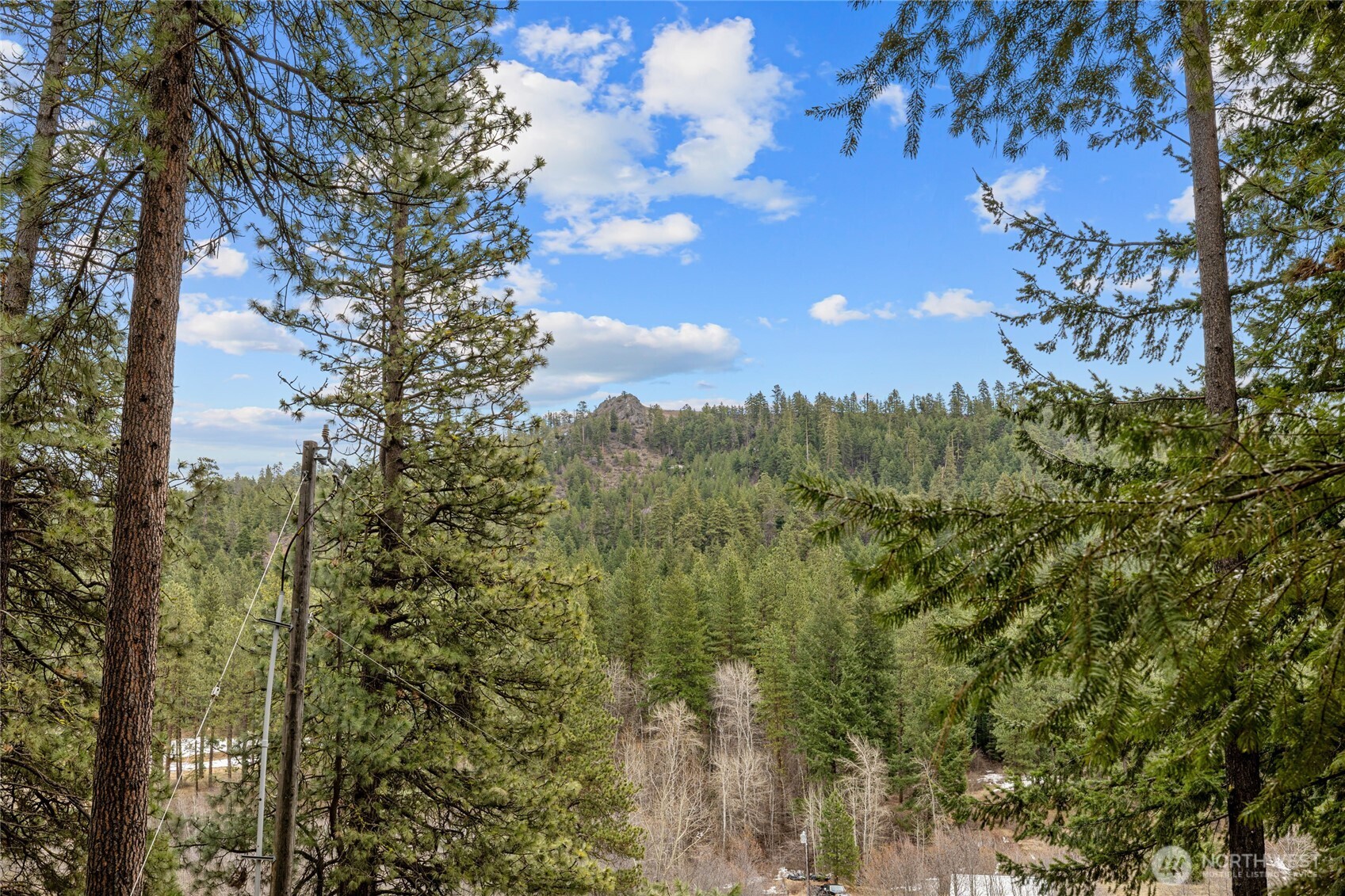 11 Cougar Gulch Road Cle Elum, WA 98922 - Photo 17 of 31 Gallery Image 17