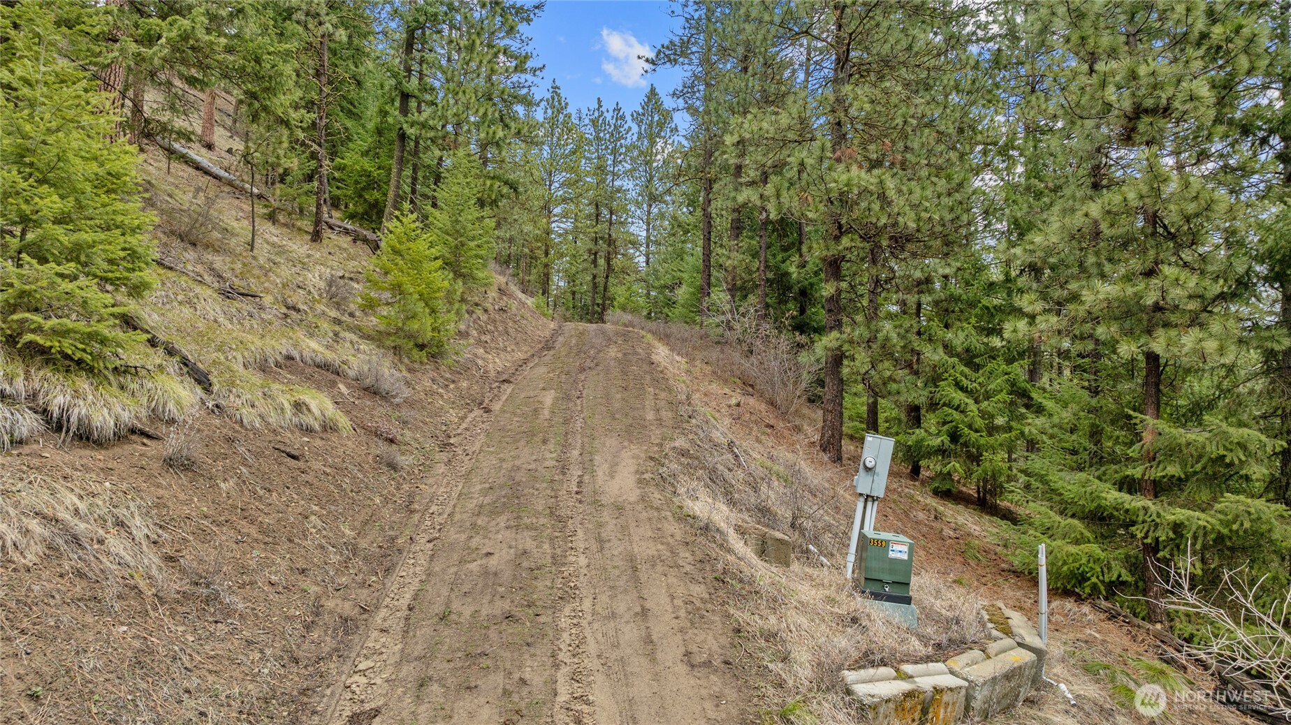 11 Cougar Gulch Road Cle Elum, WA 98922 - Photo 18 of 31 Gallery Image 18