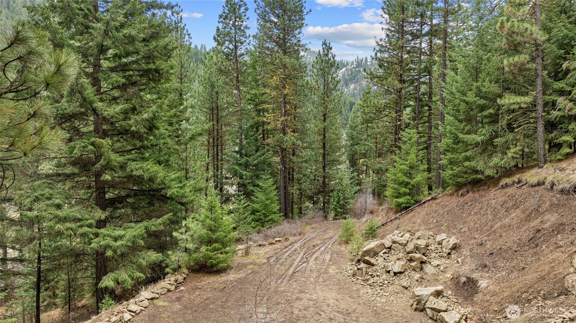 11 Cougar Gulch Road Cle Elum, WA 98922 - Photo 20 of 31 Gallery Image 20