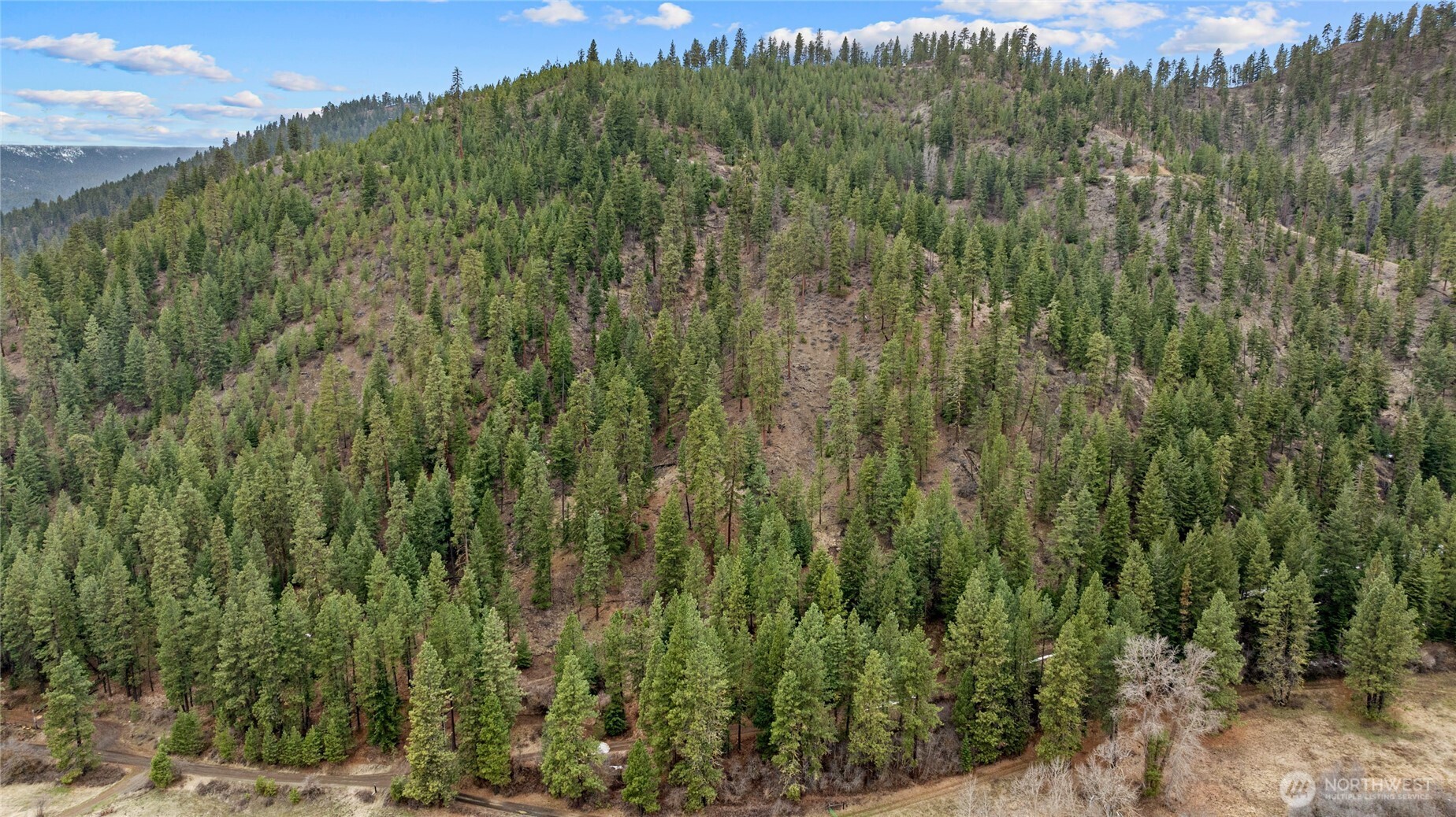 11 Cougar Gulch Road Cle Elum, WA 98922 - Photo 22 of 31 Gallery Image 22