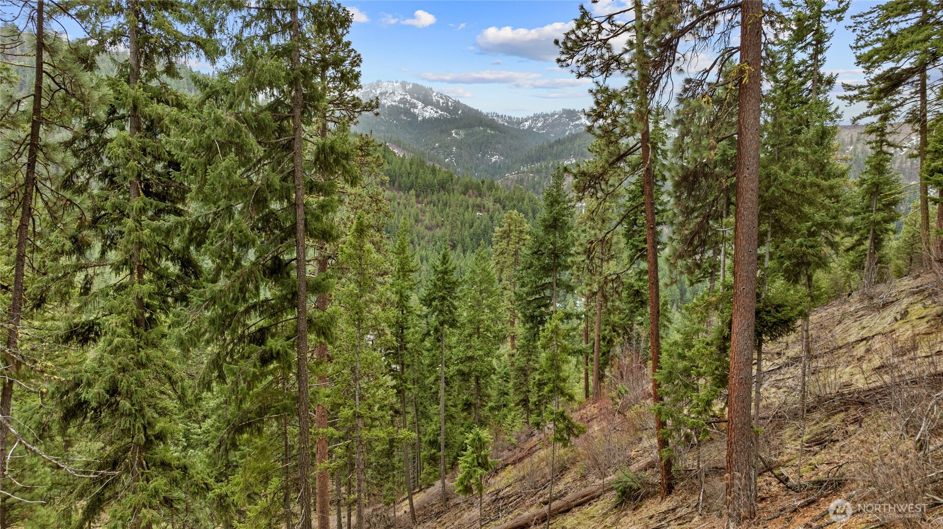 11 Cougar Gulch Road Cle Elum, WA 98922 - Photo 28 of 31 Gallery Image 28