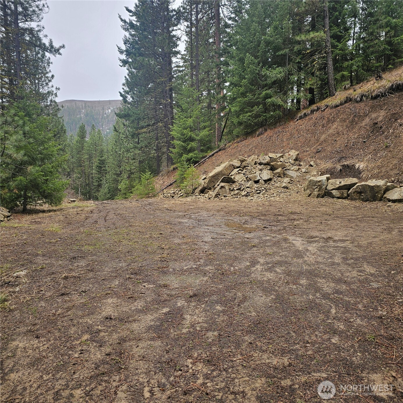11 Cougar Gulch Road Cle Elum, WA 98922 - Photo 8 of 31 Gallery Image 8
