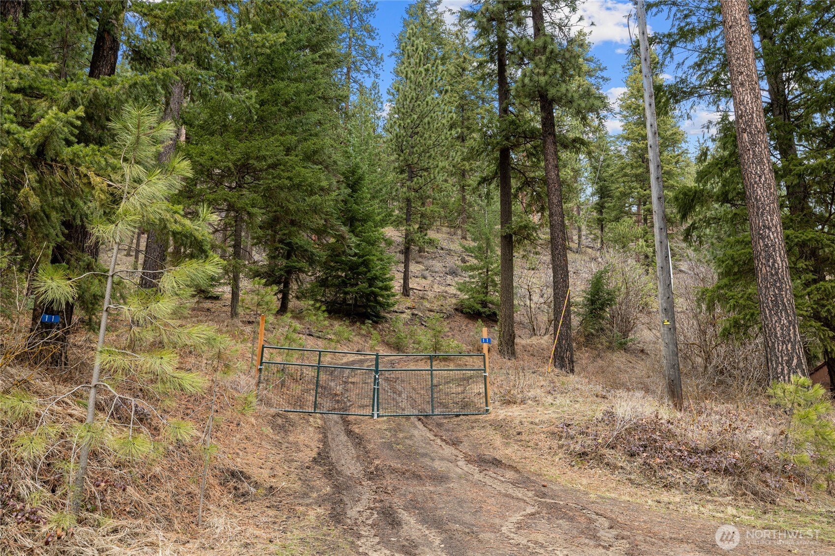 11 Cougar Gulch Road Cle Elum, WA 98922 - Photo 10 of 31 Gallery Image 10