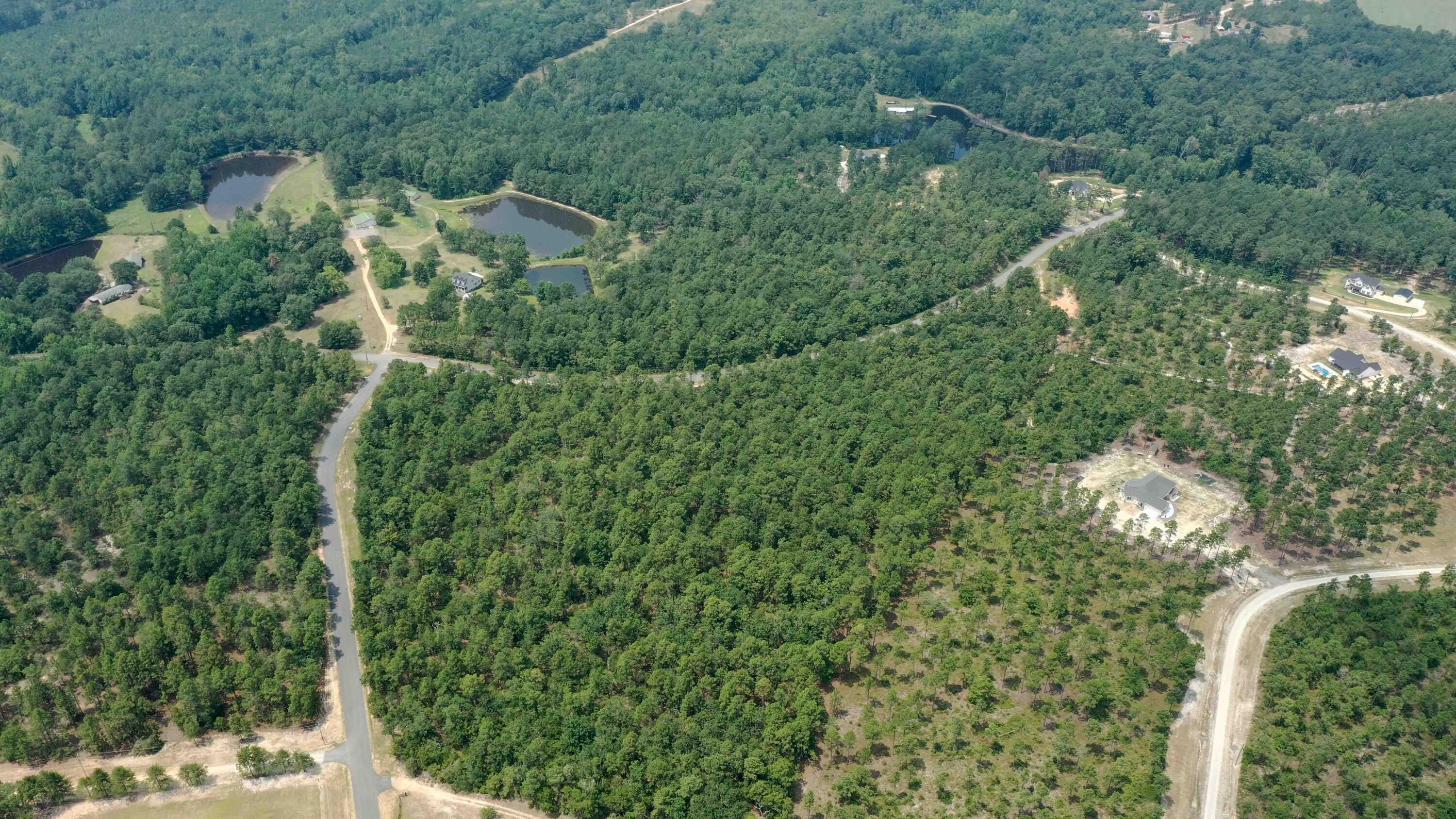 7 Mt Zion Road Williston, SC 29853 - Photo 11 of 15