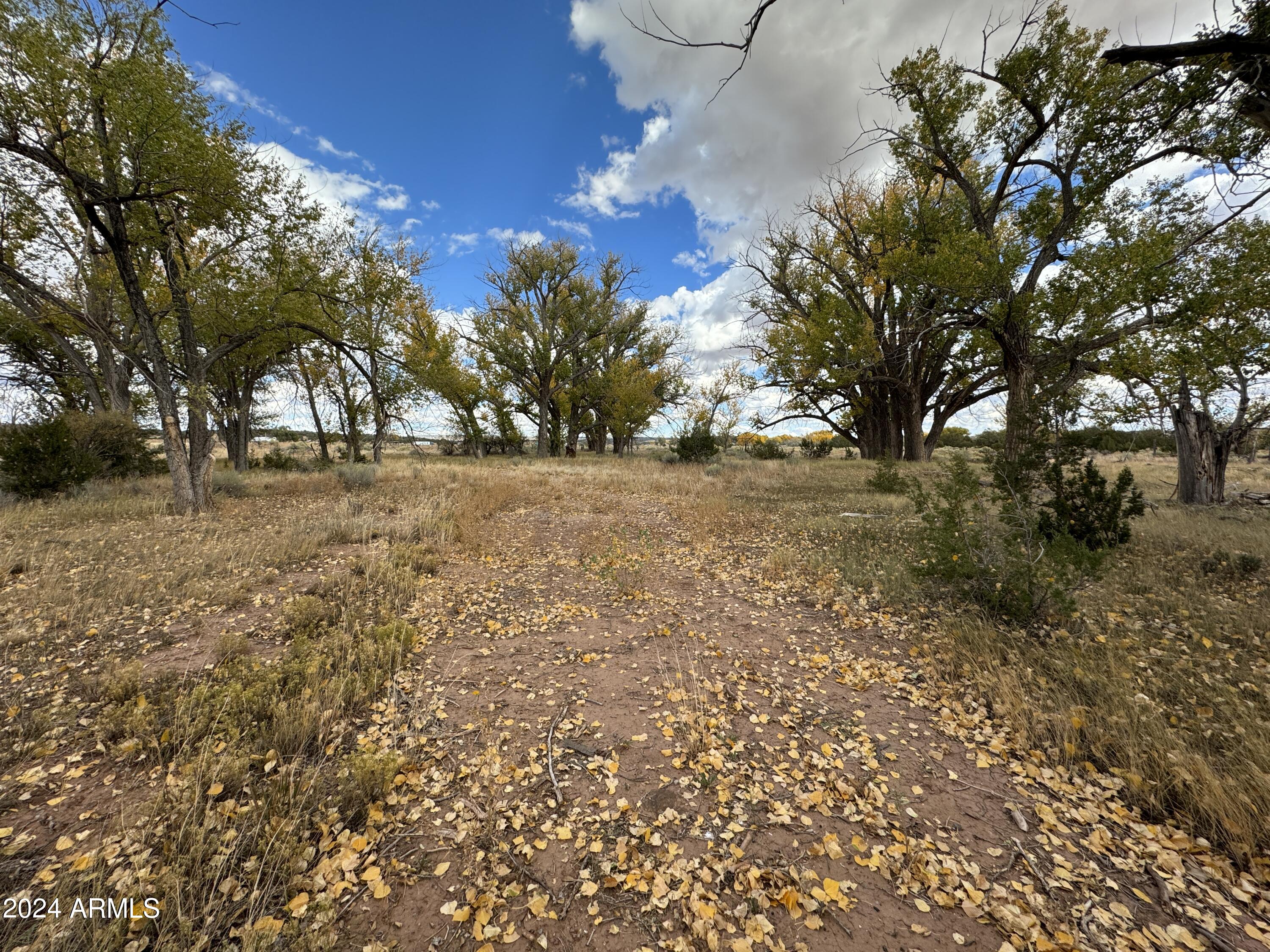 346 West Rd Houck Az 86506 Road Houck, AZ 86506 - Photo 19 of 42 IMG_7486