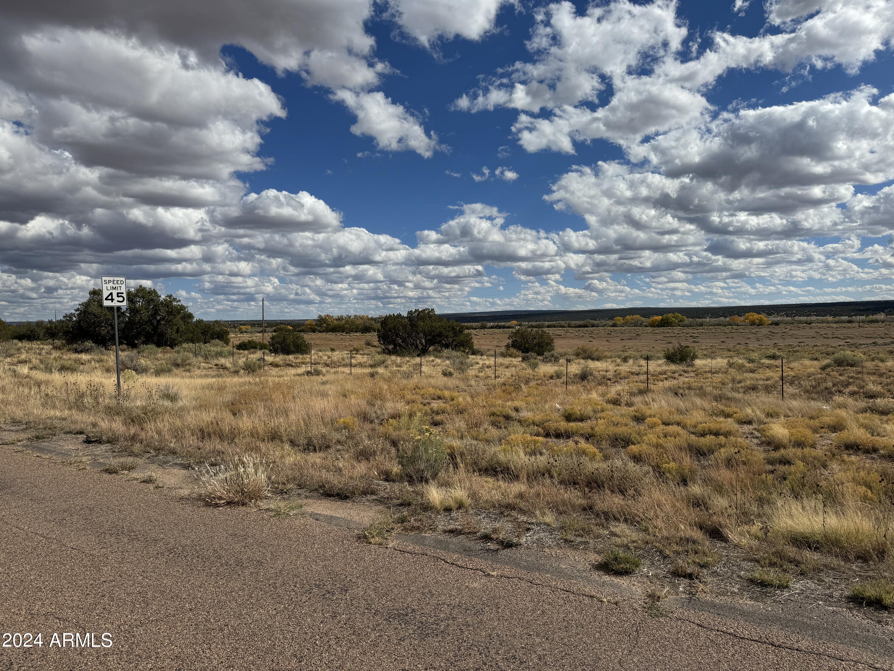 346 West Rd Houck Az 86506 Road Houck, AZ 86506 - Photo 20 of 42 a view of a lake view