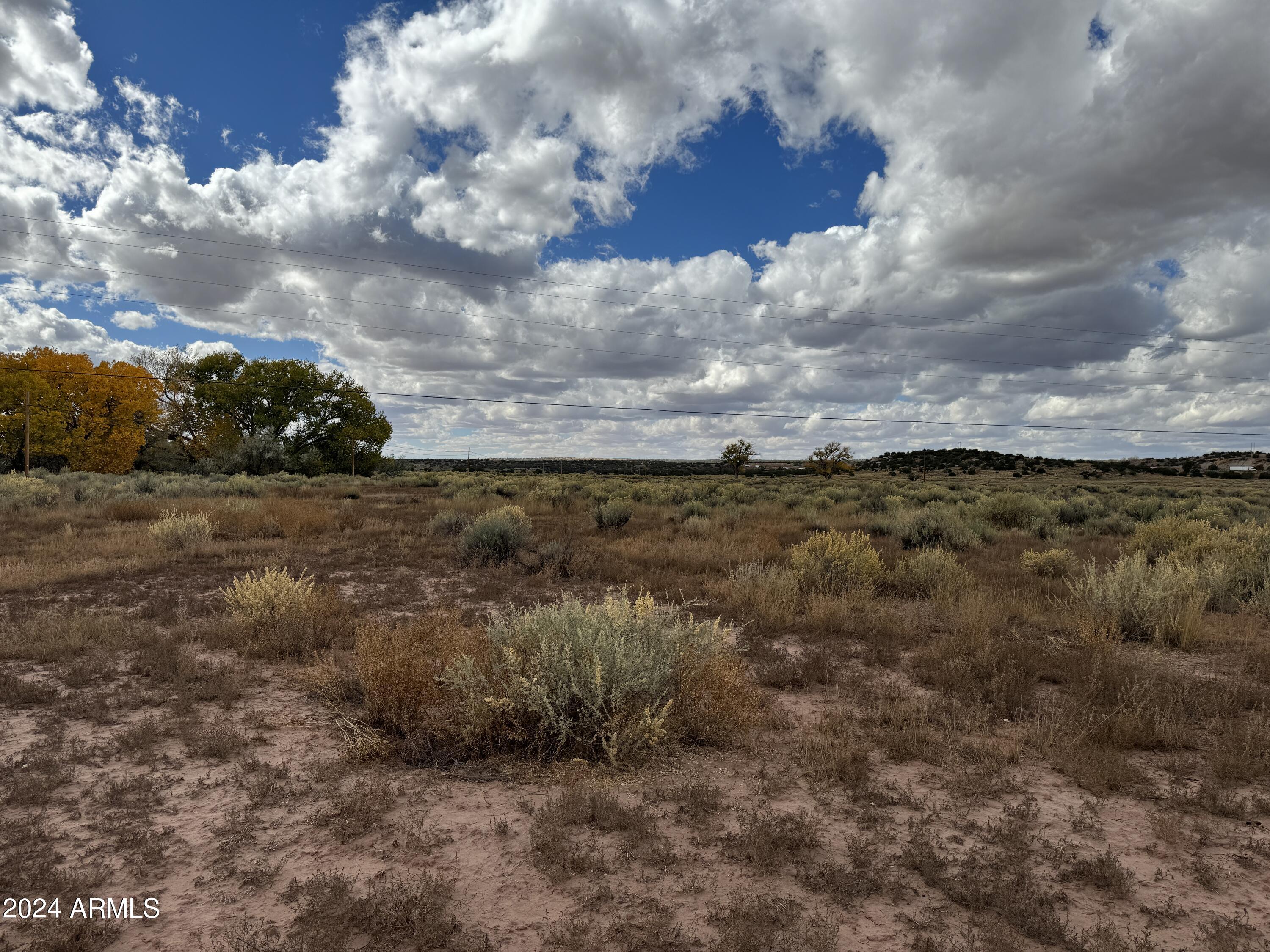 346 West Rd Houck Az 86506 Road Houck, AZ 86506 - Photo 26 of 42 a view of a yard