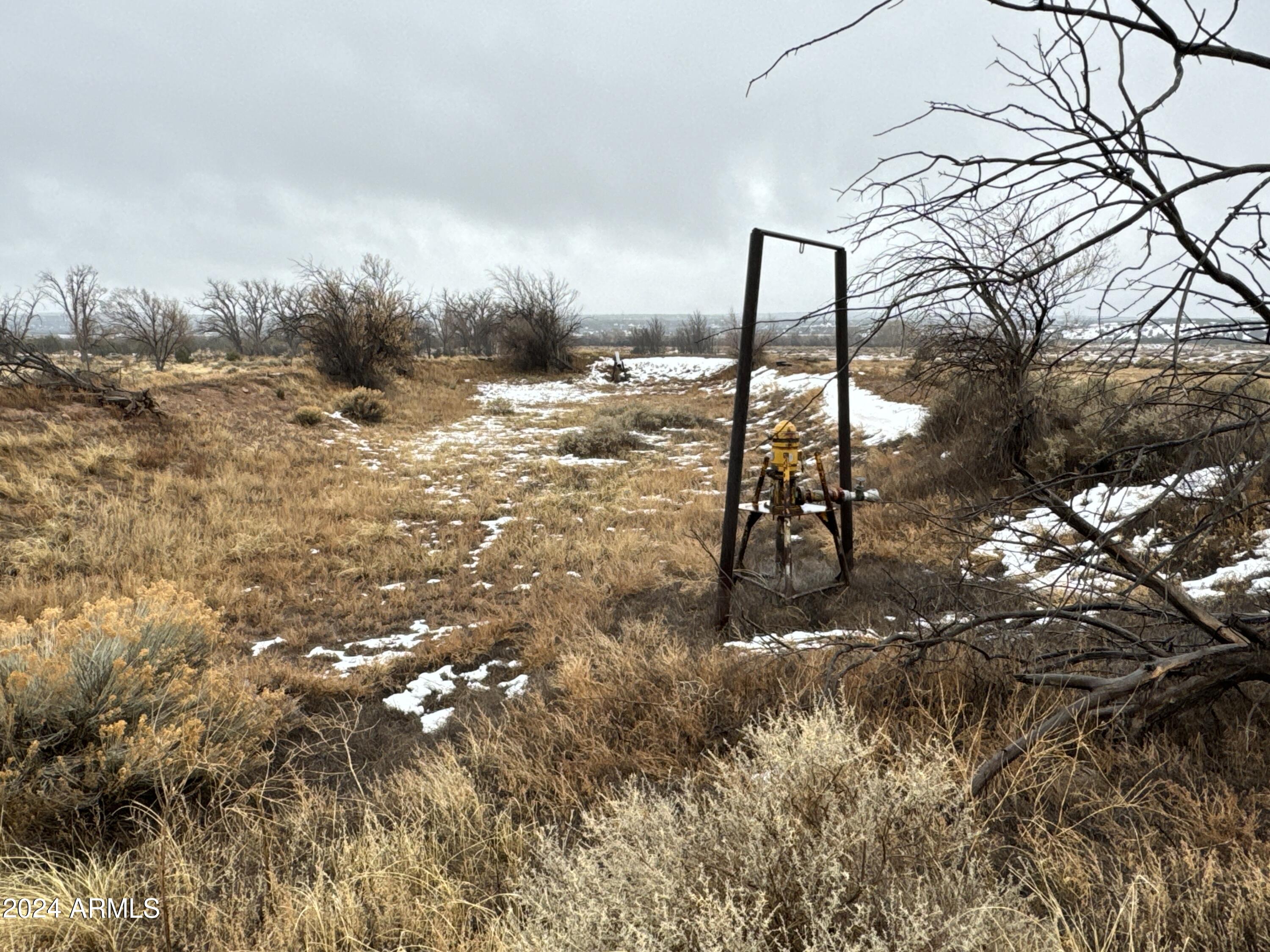 346 West Rd Houck Az 86506 Road Houck, AZ 86506 - Photo 33 of 42 a backyard of a house with lots of green space