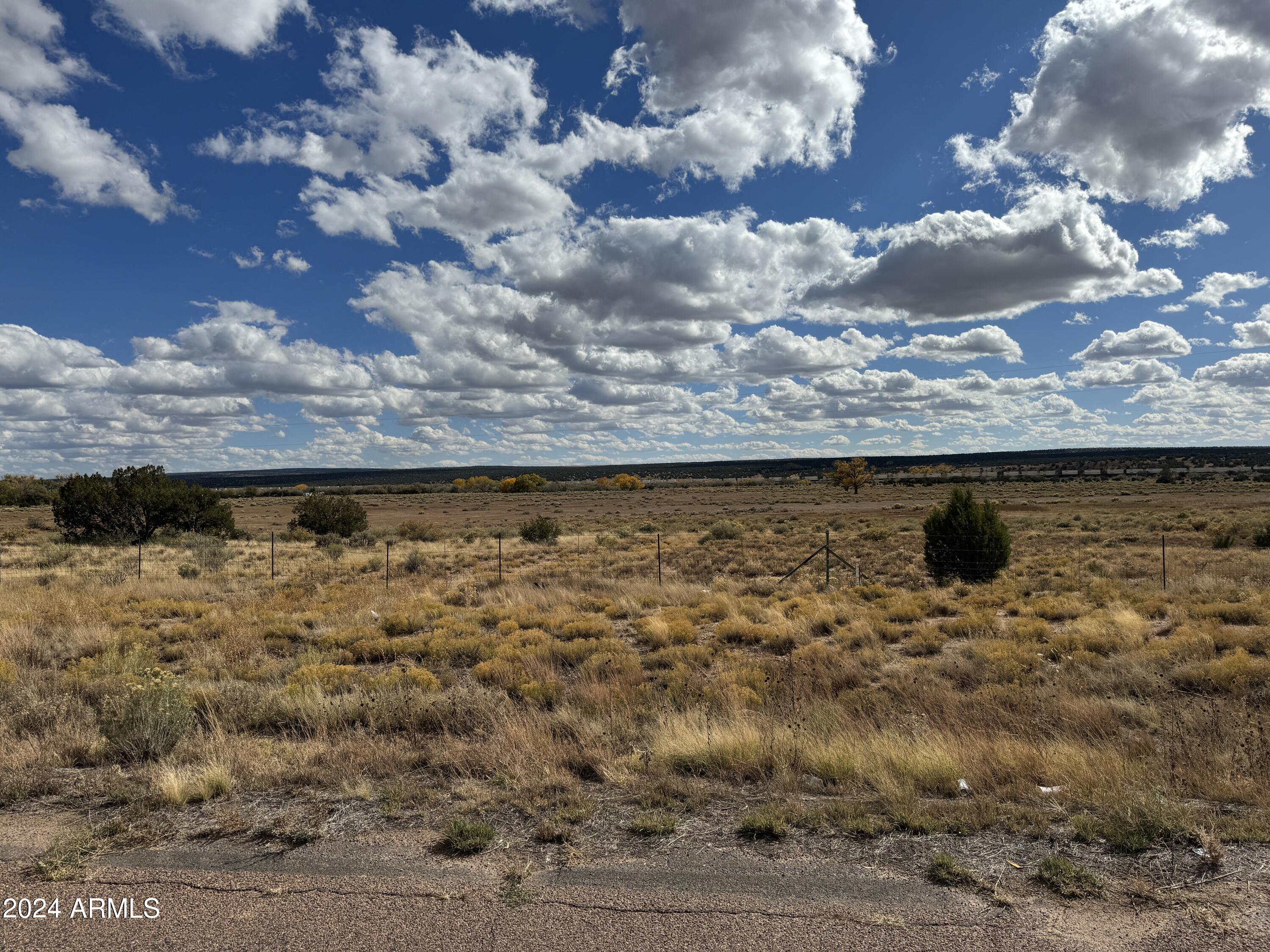 346 West Rd Houck Az 86506 Road Houck, AZ 86506 - Photo 37 of 42