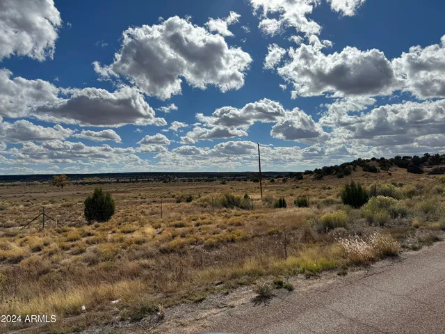 $2,980,000 | 346 West Rd Houck Az 86506 Road, Houck, AZ 86506