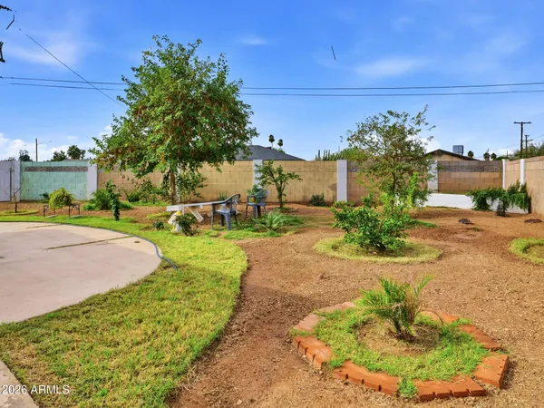 a view of a yard with flower plants