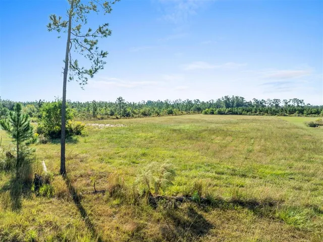 $55,000 | Tbd Tbd Marcantel Road, Dequincy, LA 70633