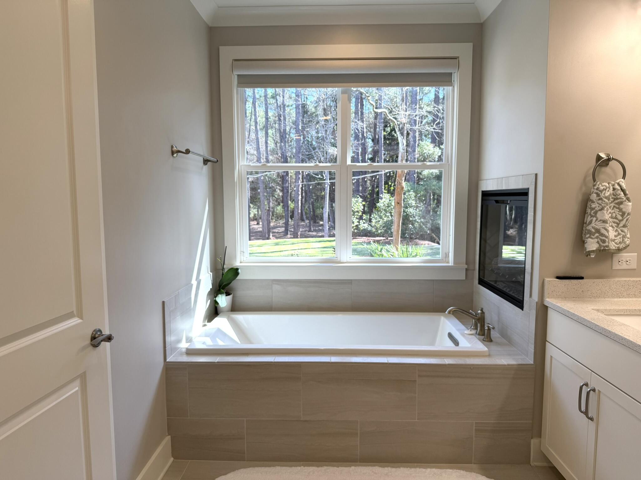 590 Driftwood Point Road Santa Rosa Beach, FL 32459 - Photo 5 of 23 Master Bath