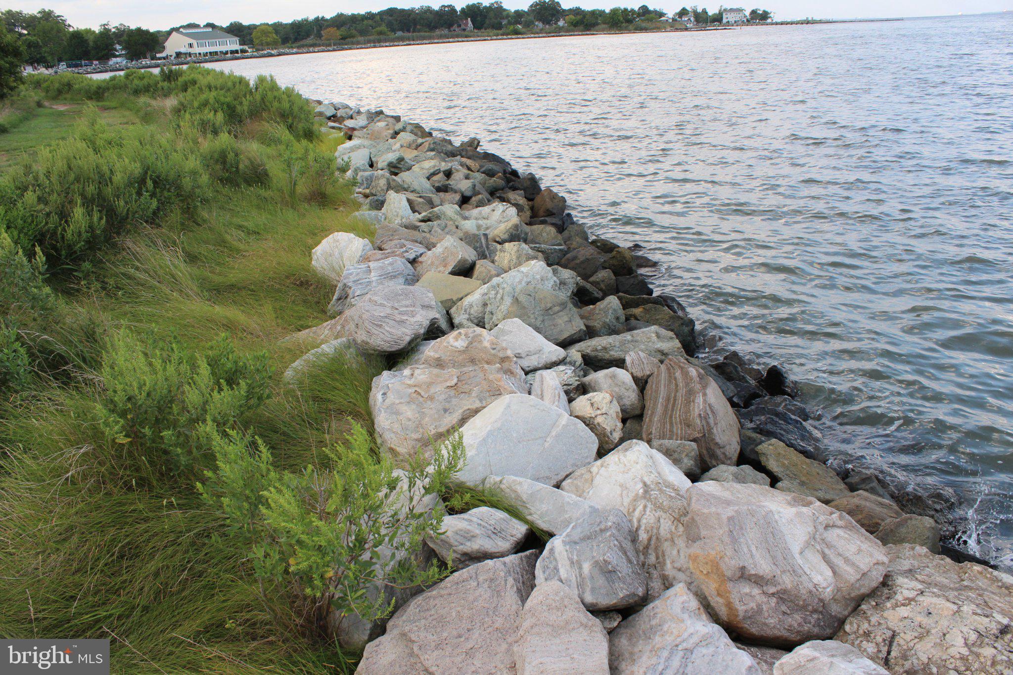 1495 Cedarhurst Road Shady Side, MD 20764 - Photo 5 of 36 Serene shoreline with rocky edge.