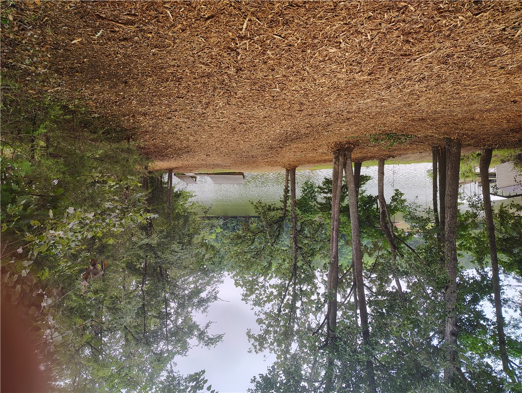 369 Paradise Point Abbeville, SC 29620 - Photo 28 of 35 Gallery Image 28