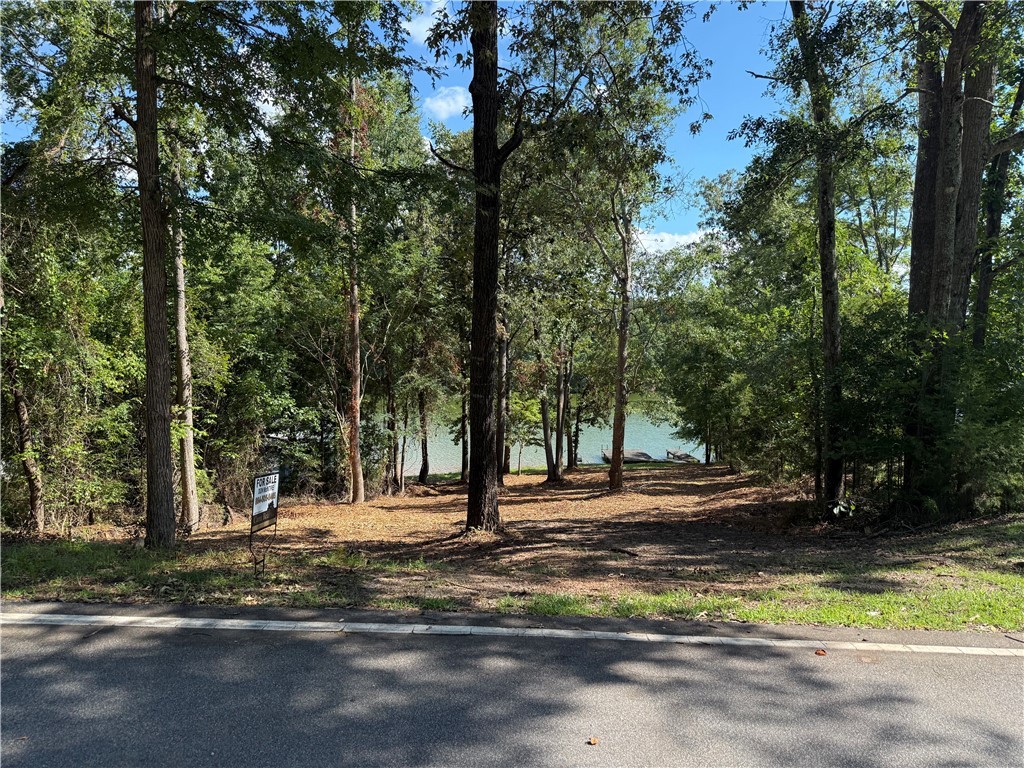 369 Paradise Point Abbeville, SC 29620 - Photo 3 of 35 Gallery Image 3